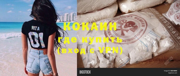 твердый Новодвинск