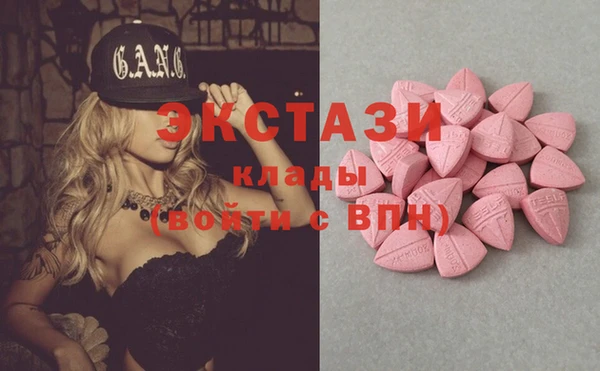 твердый Новодвинск
