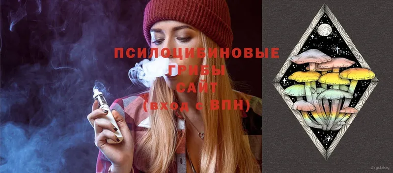 Галлюциногенные грибы Psilocybe  Александровск-Сахалинский 